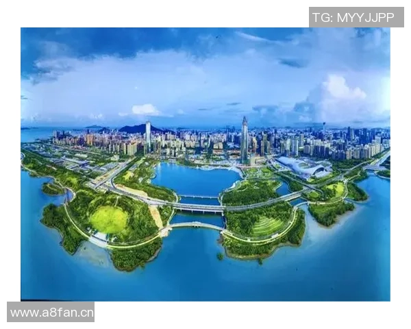 深圳飞盘队在世界街舞大赛中的崛起与成长历程全景揭秘